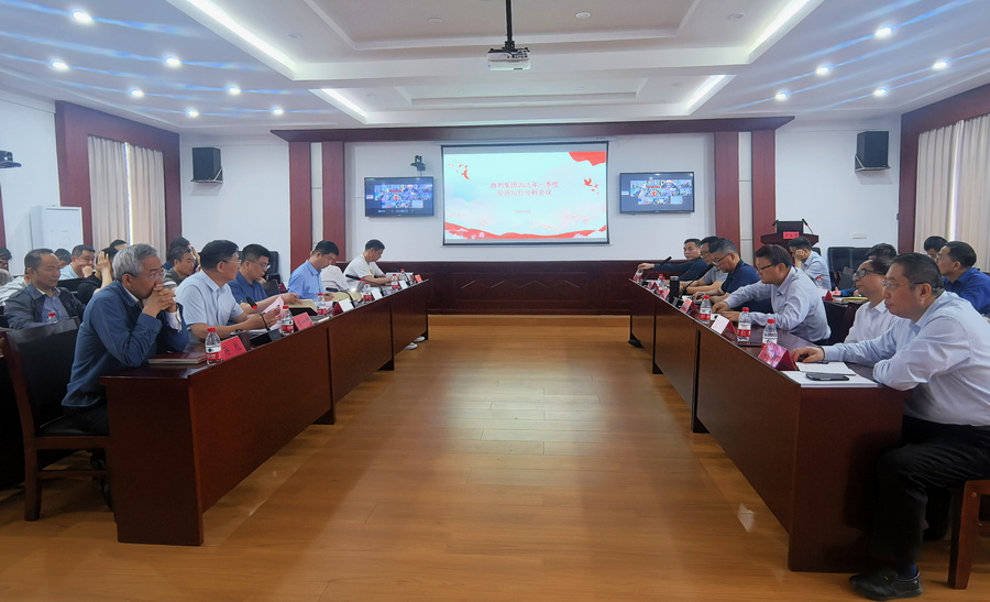 海利集团召开2025年一季度经济运行分析会