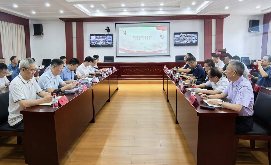 海利集团召开2025年上半年经济运行分析会