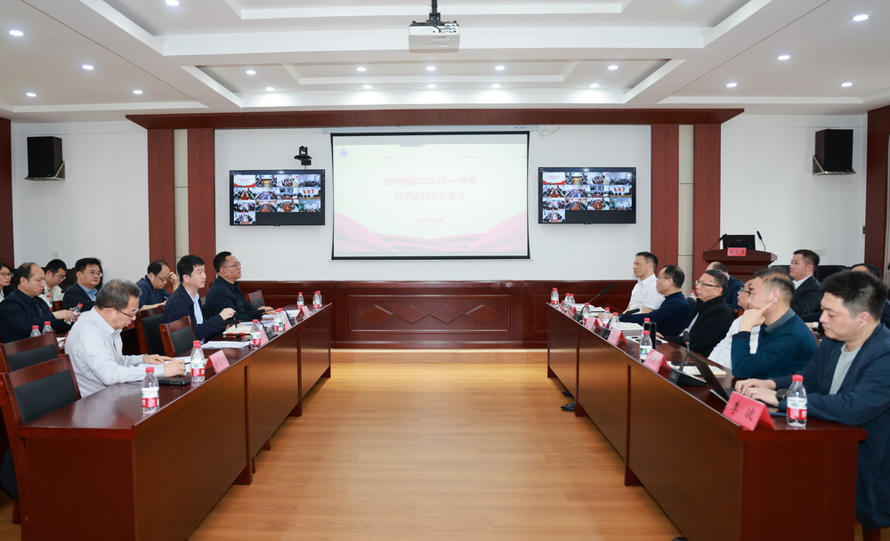 海利集团召开2026年一季度经济运行分析会