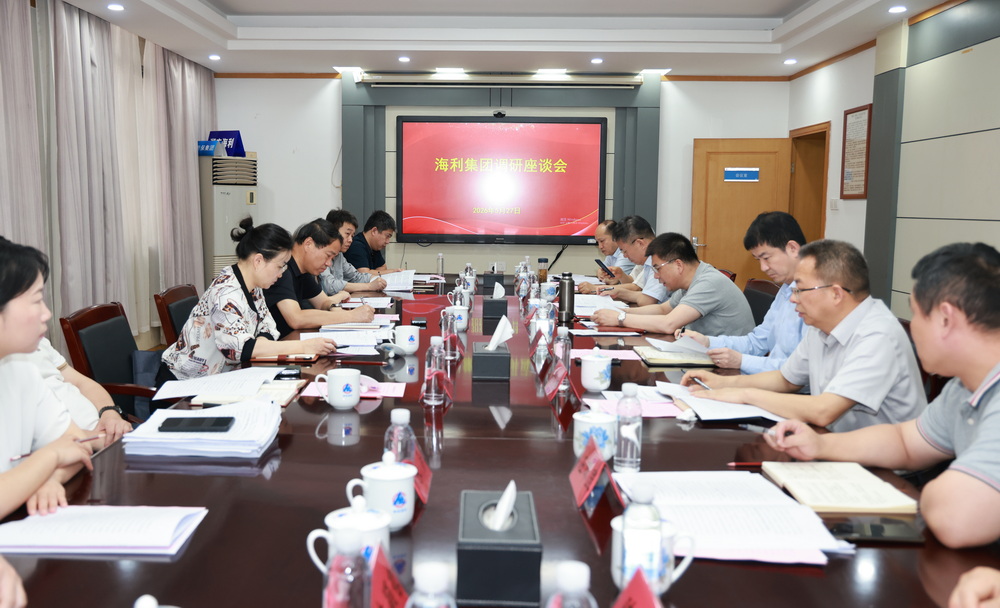 省国资委到海利集团开展“走找想促”调研和安全生产检查