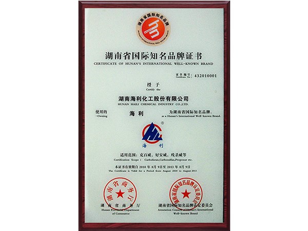 湖南省国际知名品牌