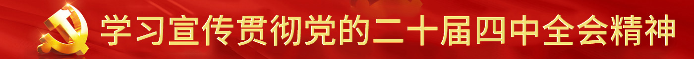学习宣传贯彻党的二十届四中全会精神